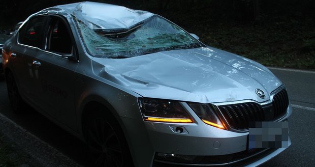Řidič Škody Octavia se srazil v pondělí ráno u Strážovic s jelenem. Zvíře nepřežilo.