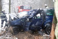 Nejméně mrtvých na silnicích za posledních 50 let, mladí řidiči však stále hrozbou