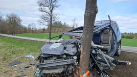 U jihočeské Sedlice v neděli vyjelo osobní auto ze silnice a narazilo do stromu.
