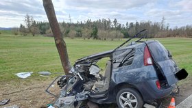 U jihočeské Sedlice v neděli vyjelo osobní auto ze silnice a narazilo do stromu.