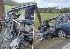 U jihočeské Sedlice v neděli vyjelo osobní auto ze silnice a narazilo do stromu.