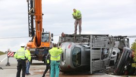 U obce Zelinkovice na Frýdecko-Místecku havaroval 29. října ráno nákladní vůz převážející několik automobilů do autobazaru. Auta se z návěsu uvolnila a rozsypala po vozovce. Dálnice D48 byla kvůli nehodě mezi Frýdkem-Místkem a Příborem v obou směrech uzavřena.