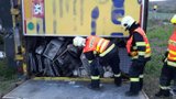 Velká králičí tragédie: Desítky chlupáčů nepřežily havárii kamionu na Vyškovsku