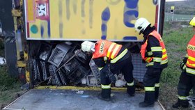 Hasiči se v pondělí večer zapotili. V Bučovicích přeložili z havarovaného návěsu náklad více než dva a půl tisíce králíků.