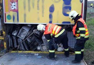 Hasiči se v pondělí večer zapotili. V Bučovicích přeložili z havarovaného návěsu náklad více než dva a půl tisíce králíků.