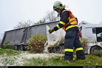 Kamion v Ostravě havaroval v zahrádkářské kolonii: Do půdy vytekla nafta a strom propíchl chatku