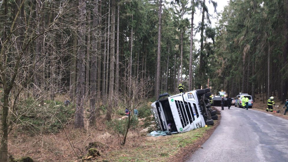 V lese na Benešovsku se převrátil tahač s prasaty: Zvířata se rozutekla po lese