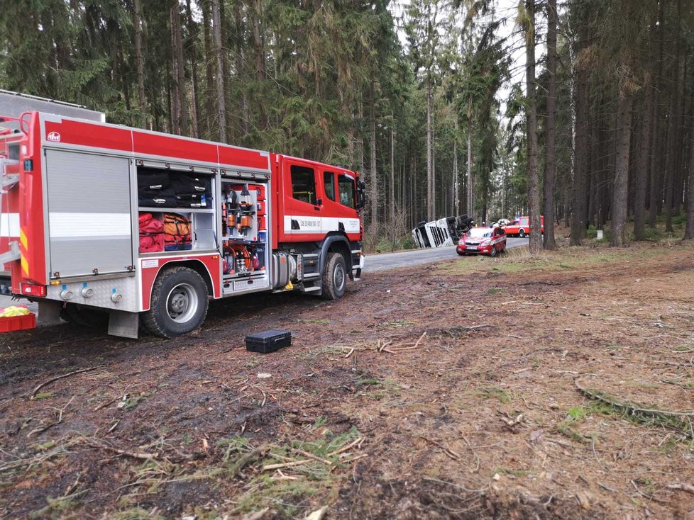 V lese na Benešovsku se převrátil tahač s prasaty: Zvířata se rozutekla po lese