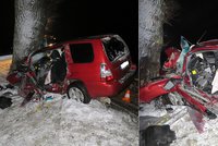 Tragická nehoda na Českokrumlovsku: Řidič (†70) zemřel po nárazu do stromu!