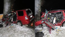 Tragická nehoda na Českokrumlovsku: Řidič zemřel po nárazu do stromu!