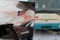 Tragédie na Trutnovsku. Uprchlí koně způsobili několik nehod, sami zemřeli