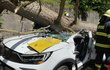 V Krkonoších spadl strom na auto, zemřeli tři lidé. 