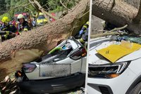 Tragédie v Peci pod Sněžkou: Strom spadl na auto, tři mrtví!