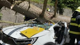 V Krkonoších spadl strom na auto, zemřeli tři lidé.
