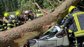 V Krkonoších spadl strom na auto, zemřeli tři lidé.