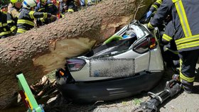V Krkonoších spadl strom na auto, zemřeli tři lidé.