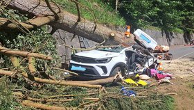 V Krkonoších spadl strom na auto, zemřeli tři lidé.