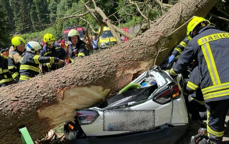 V Krkonoších spadl strom na auto, zemřeli tři lidé. 