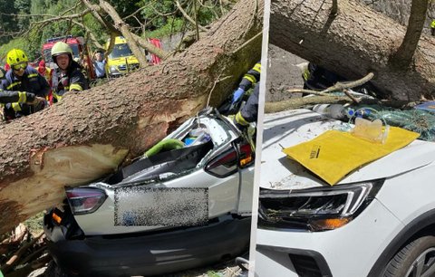 Tragédie v Peci pod Sněžkou: Strom spadl na auto, tři mrtví! 