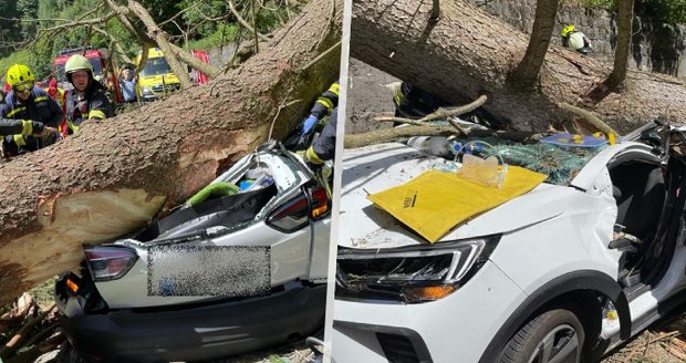 Tragédie v Peci pod Sněžkou: Strom spadl na auto, tři mrtví! 