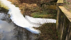 Bílá látka, zřejmě latex s příměsí, znečistila po nehodě dvou náklaďáků na D1 potok Blanice