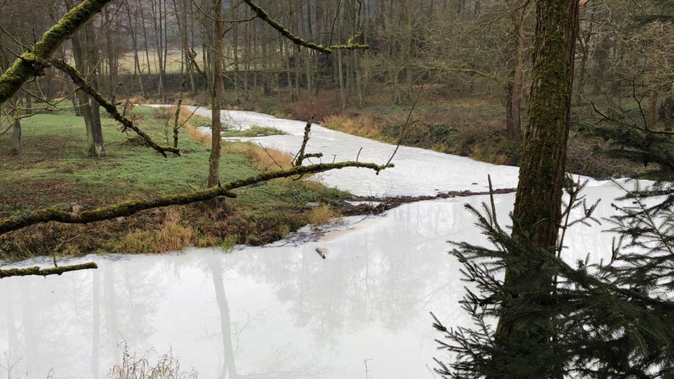 Bílá látka, zřejmě latex s příměsí, znečistila po nehodě dvou náklaďáků na D1 potok Blanice