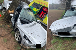 Spolujezdkyně (†18) nepřežila strašnou nehodu u Letohradu: Stejně stará řidička narazil do stromu.