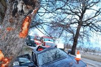 Mladý řidič v BMW narazil do stromu: Nehodu nepřežil
