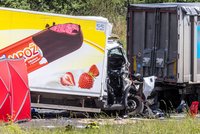 Srážka dodávky a kamionu u Lovosic na dálnici D8: Nepřežili dva lidé!