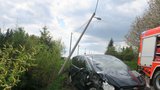 Řidičce u Maršovic vlítla včela do auta: Žena máchala rukama a nabourala do sloupu