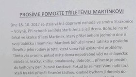 Výzvu na pomoc Martínkovi a jeho tetě odstartovala teprve patnáctiletá studentka gymnázia Kateřina Božková.