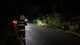 Auto u Máslovic vyletělo ze silnice, řidič byl opilý: Zemřel spolujezdec (†37), spolujezdkyně se zranila