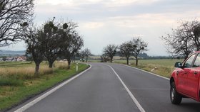 Tragická dopravní nehoda v obci Neplachovice-Zadky na Opavsku si vyžádala tři mrtvé (†48, †51, †64) a těžce zraněnou pětiletou holčičku. Na vině je pravděpodobně riskantní předjíždění.