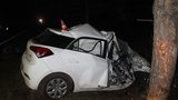 Tragédie u Hodonína: Šofér (56) narazil do stromu, zabil manželku