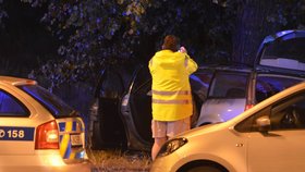 Auto plné mladíků narazilo v Plzni do stromu, jeden z nich nepřežil.