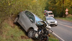 Tragická nehoda u Nelahozevsi si vyžádala život viníka i matky v druhém voze, která vezla své dvě děti.