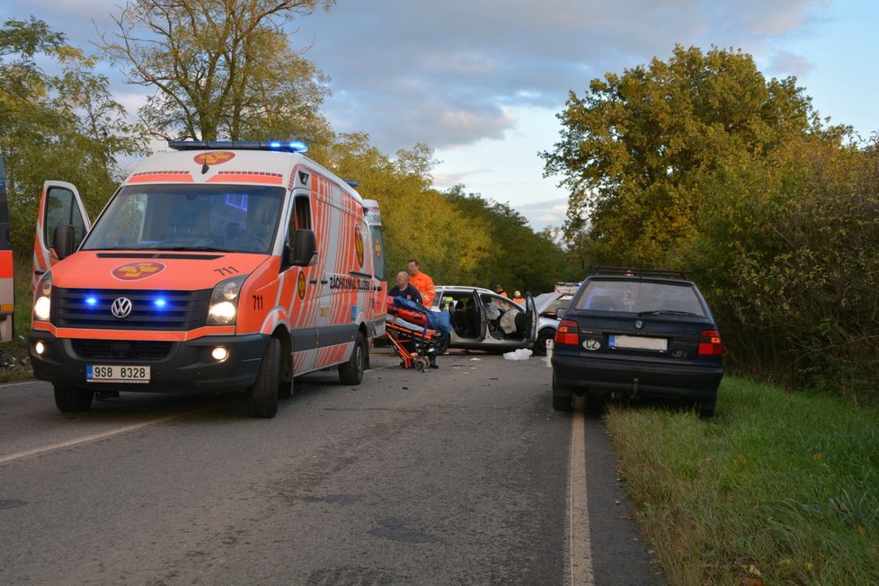 Tragická nehoda u Nelahozevsi si vyžádala život viníka i matky v druhém voze, která vezla své dvě děti.