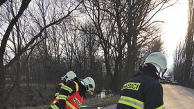 Při nehodě na kraji Olomouce zemřely dvě děti