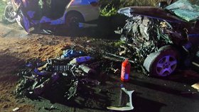 Dalších sedm lidí při nehodě utrpělo zranění.