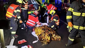 Dvaadvacetiletý řidič z dosud nezjištěných příčin přejel s vozidlem značky BMW do protisměru