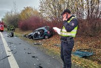 Řidič najížděl do náhodné oběti, nakonec ho vytlačil do příkopu: Policie obvinila známou firmu!