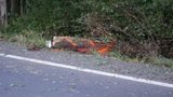 Tragická nehoda u Plzně: Řidič nepřežil náraz do stromu