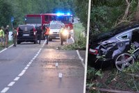 Tragická nehoda na Pardubicku: Osobák narazil do spadlého stromu, spolujezdec na místě zemřel