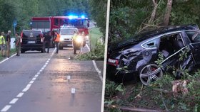 Tragická nehoda na Pardubicku: Osobák narazil do spadlého stromu, spolujezdec na místě zemřel