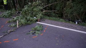 Tragická nehoda na Pardubicku mezi obcemi Miřetice a Smrček si vyžádala jeden lidský život.