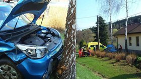 Řidička (58) na Sušicku vyletěla ze silnice, proletěla zahradou, těsně minula dům a narazila do stromu. Skončila v nemocnici.
