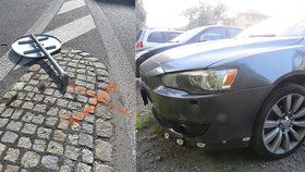 Včela způsobila nehodu na Jablonecku: Vlétla řidičce do auta, ta ztratila kontrolu nad autem!