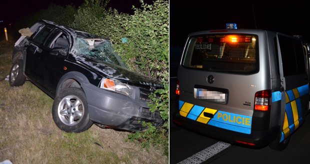 Srážka s prasetem na dálnici: Řidička skončila v nemocnici s těžkými zraněními!