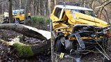 Při nehodě na Rakovnicku truckem vyvrátil a zlomil strom, auto je napadrť
