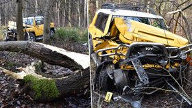 Při nehodě na Rakovnicku truckem vyvrátil a zlomil strom, auto je napadrť